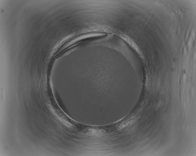 X0000084520442200702231139