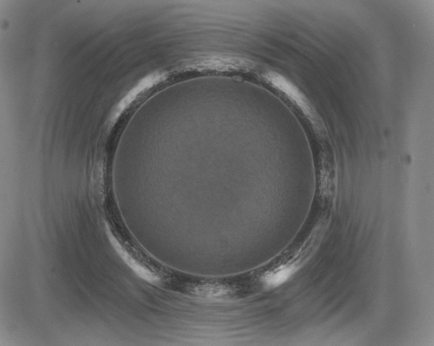 X0000084520444200702231139