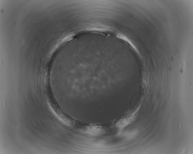 X0000084520451200702231139