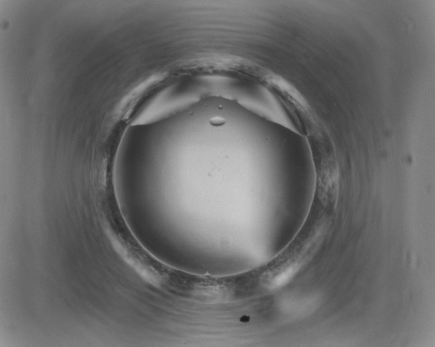 X0000084520454200702231139