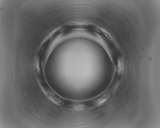 X0000084520456200702231139