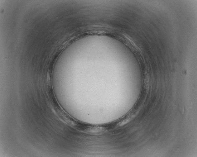 X0000084520459200702231139