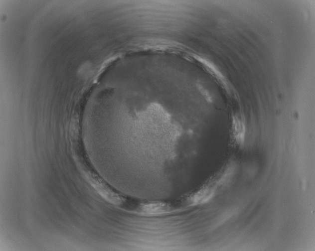 X0000084520461200702231139