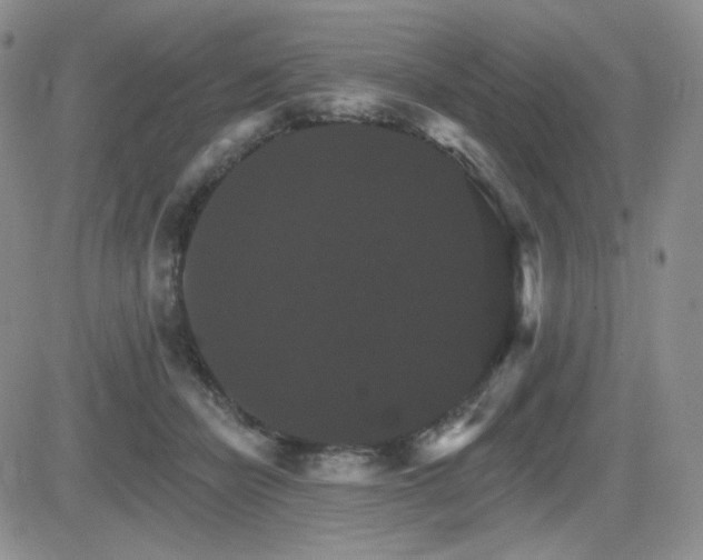 X0000084520462200702231139