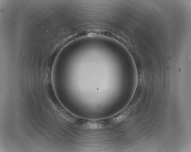 X0000084520464200702231139