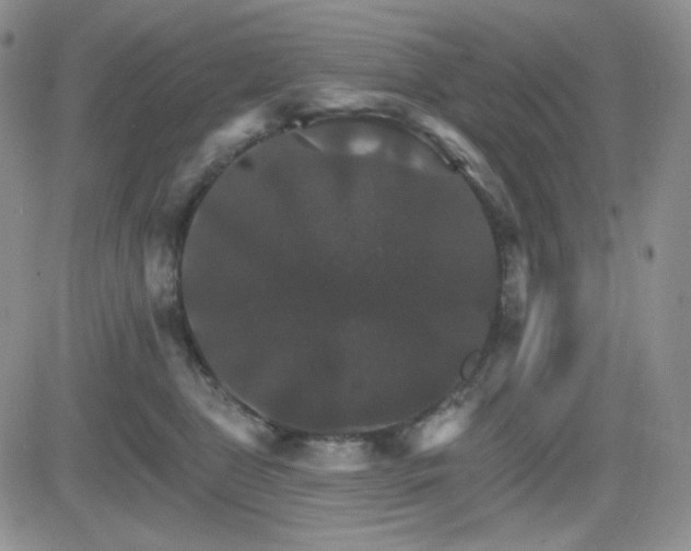 X0000084520469200702231139