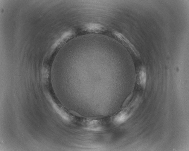 X0000084520472200702231139