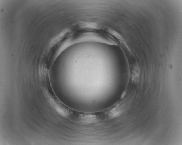 X0000084520476200702231139