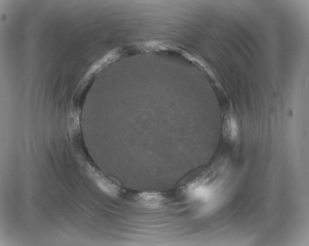 X0000084520477200702231139