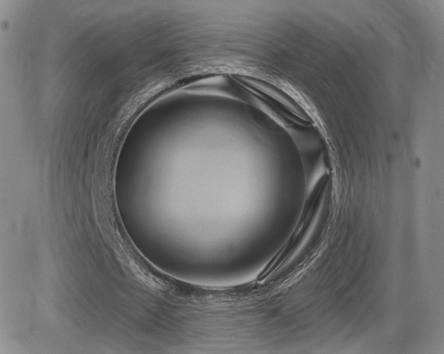 X0000084520481200702231138