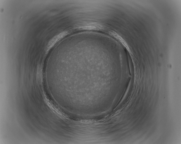 X0000084520482200702231138