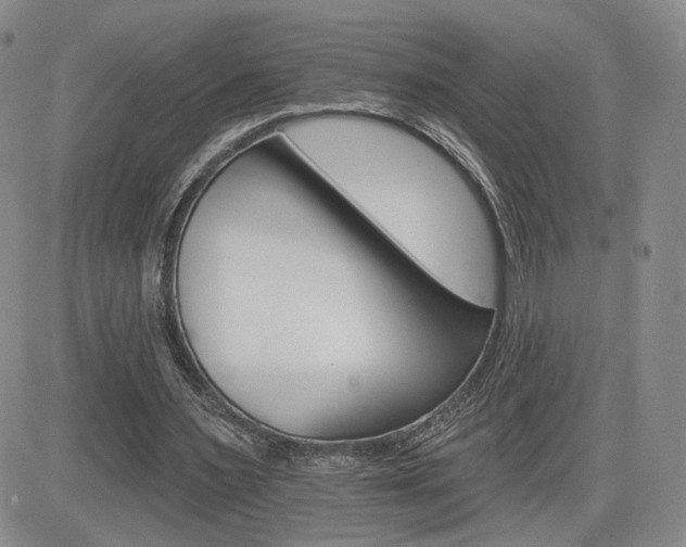 X0000084520483200702231138