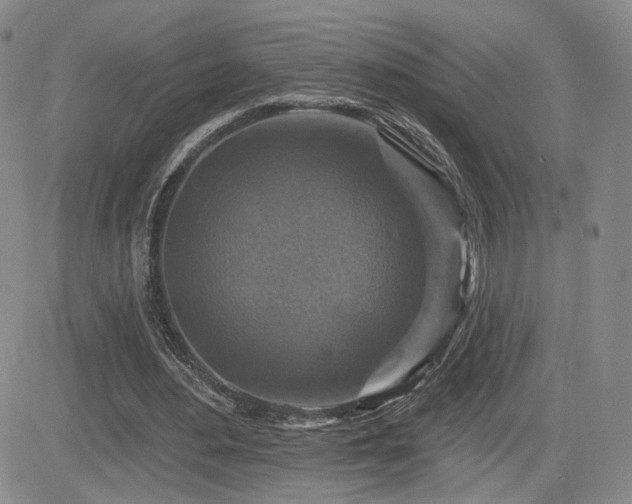 X0000084520484200702231138