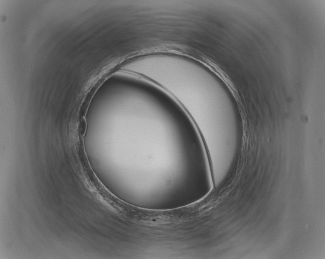 X0000084520485200702231138