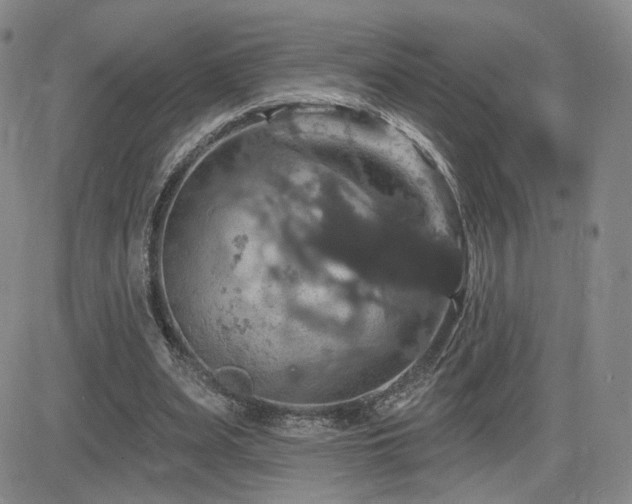 X0000084520487200702231138