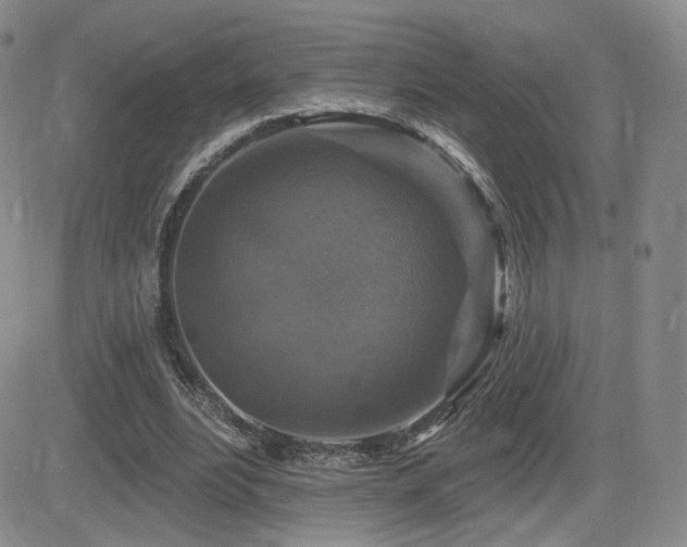 X0000084520488200702231138