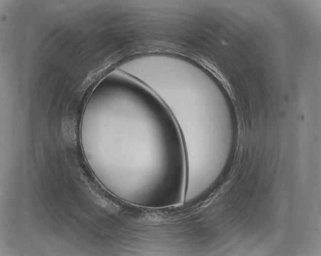 X0000084520489200702231138