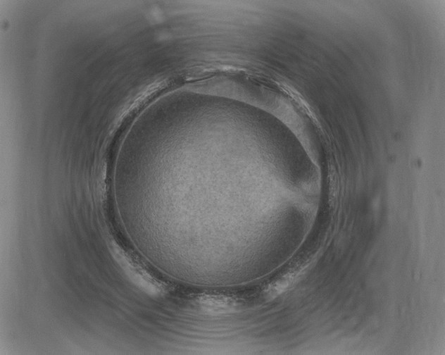 X0000084520490200702231138