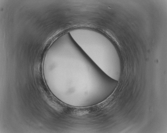 X0000084520491200702231138