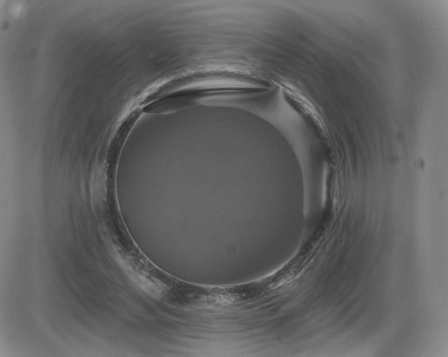 X0000084520492200702231138