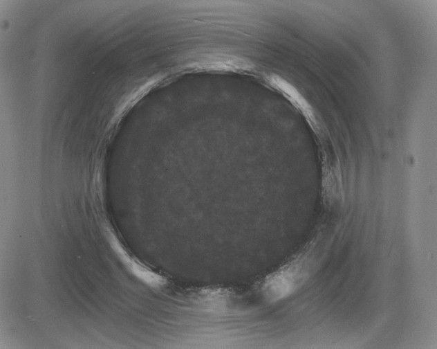 X0000084520493200702231138