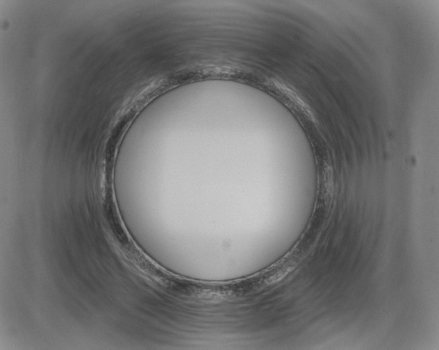 X0000084520494200702231138