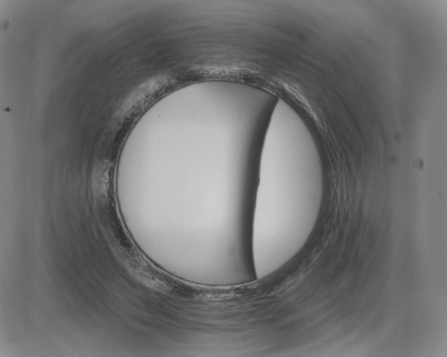 X0000084520495200702231138