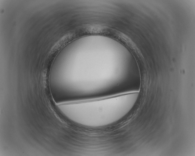 X0000084520497200702231138