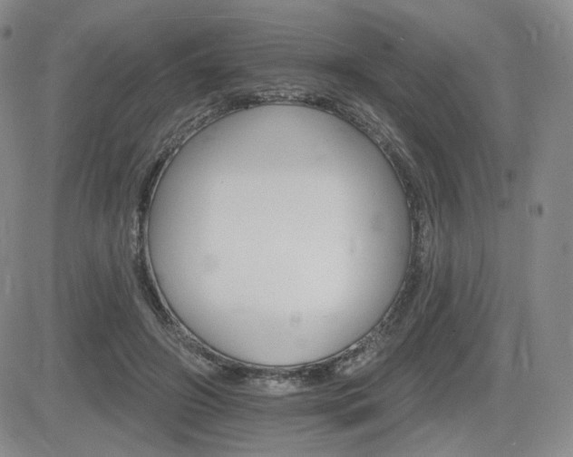 X0000084520498200702231138