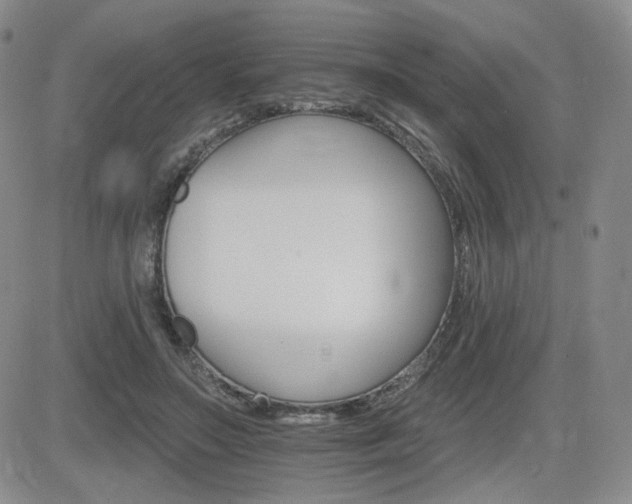 X0000084520499200702231138