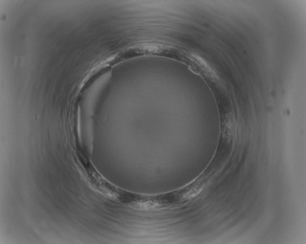 X0000084520500200702231138