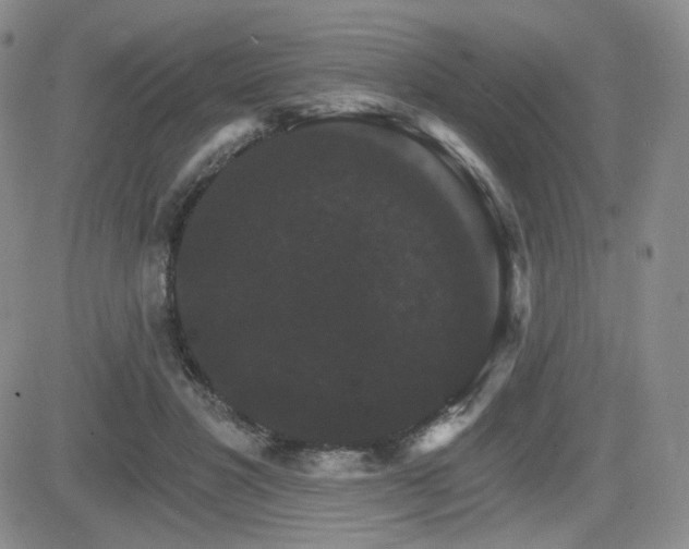 X0000084520501200702231138