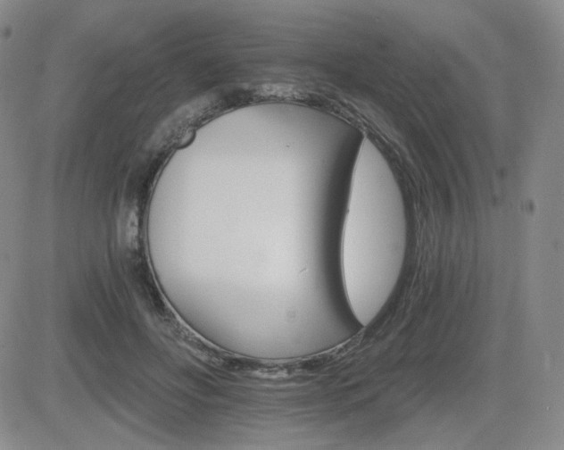 X0000084520502200702231138