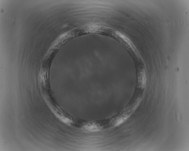 X0000084520503200702231138