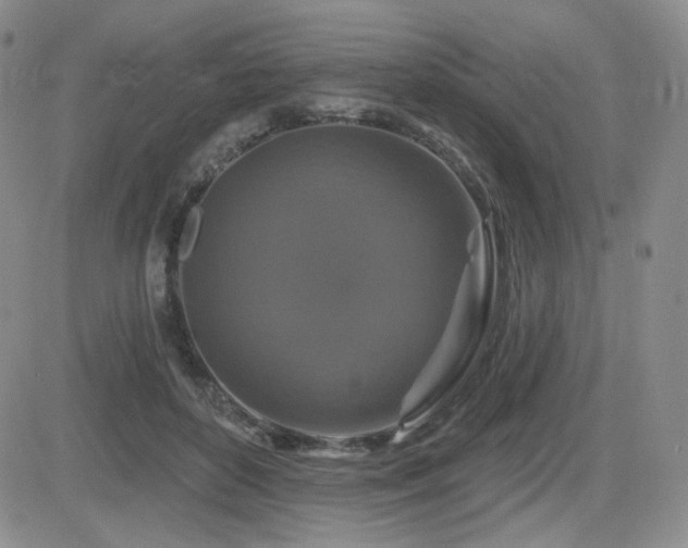 X0000084520504200702231138