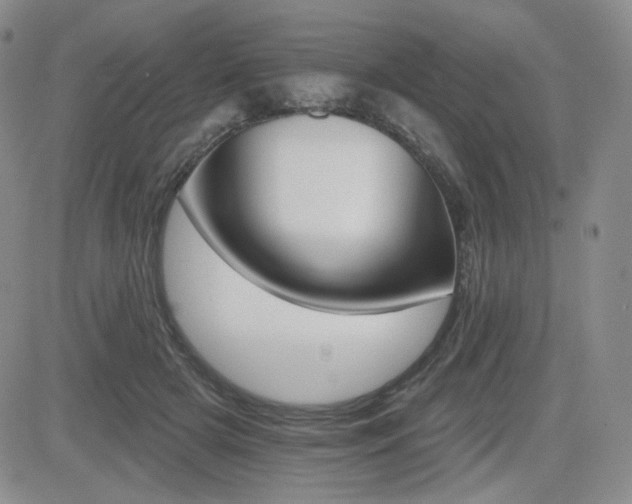 X0000084520505200702231138