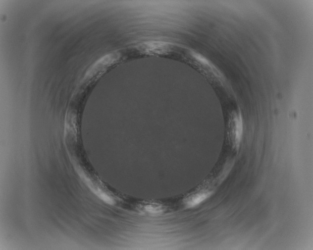 X0000084520506200702231138