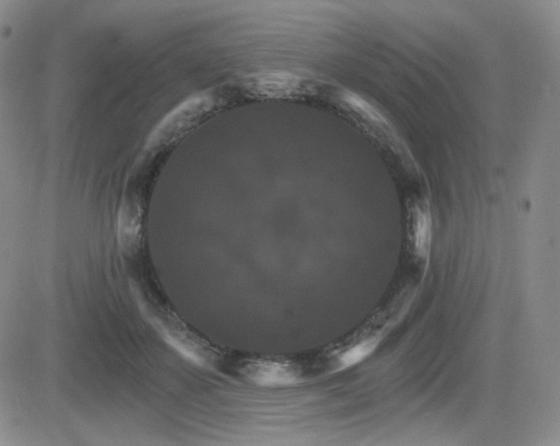 X0000084520507200702231138