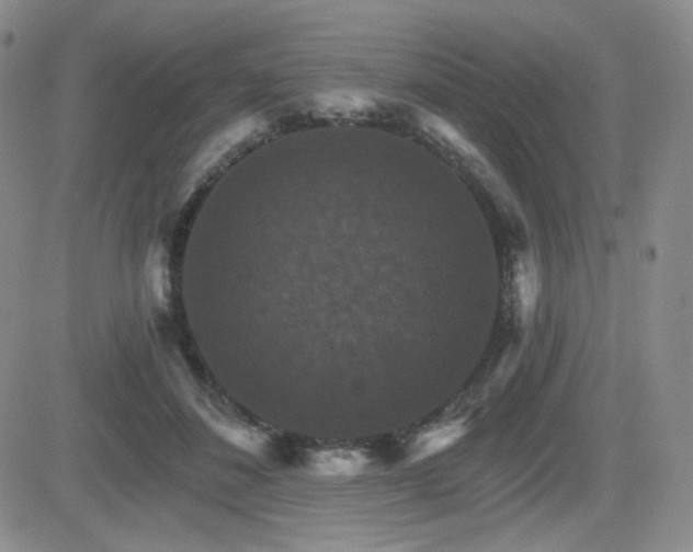 X0000084520508200702231138