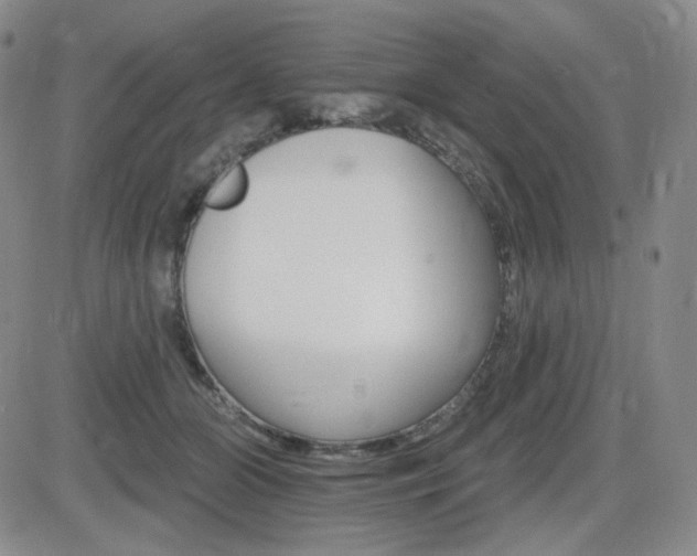 X0000084520510200702231138