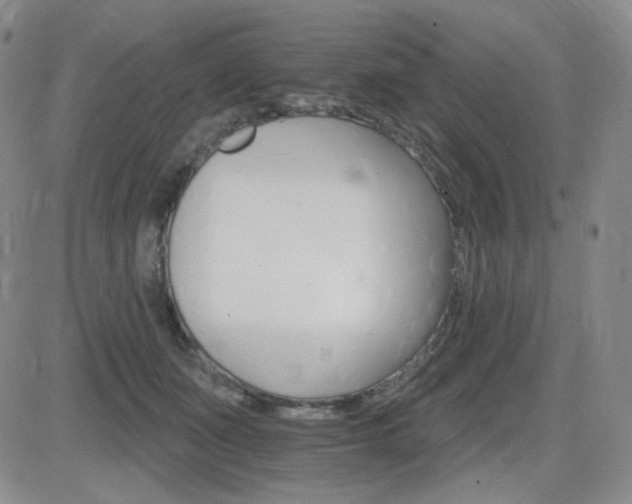 X0000084520511200702231138