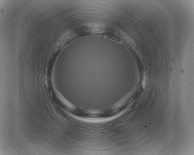 X0000084520512200702231138