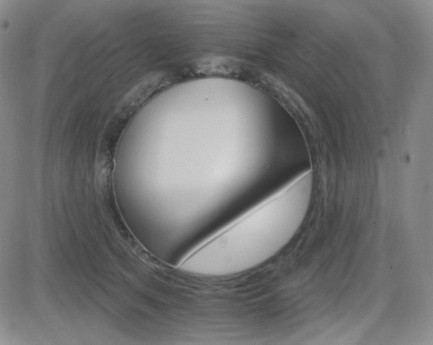 X0000084520513200702231138