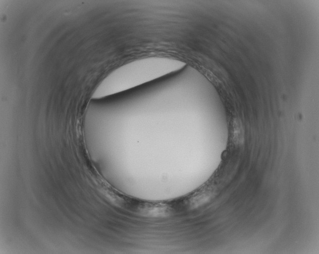 X0000084520514200702231138