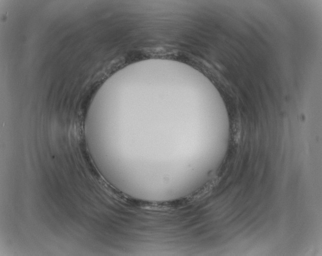 X0000084520515200702231138