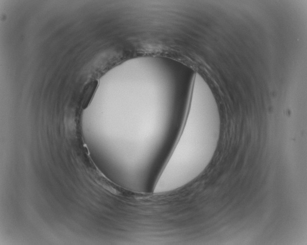 X0000084520516200702231138