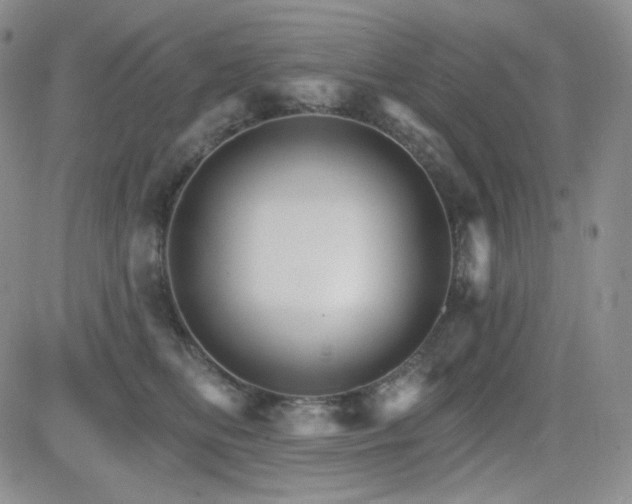 X0000084520518200702231138