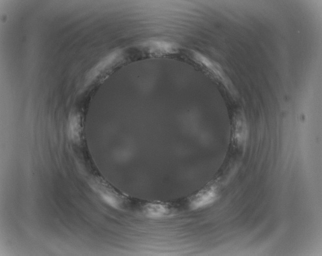 X0000084520519200702231138