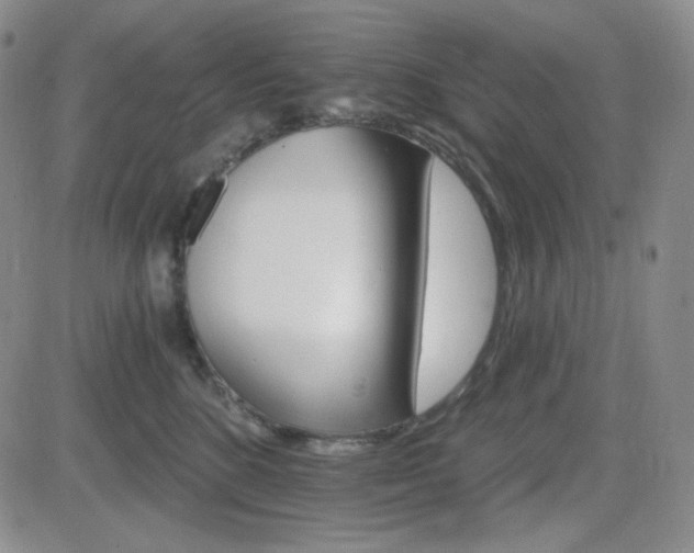 X0000084520520200702231138