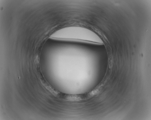 X0000084520521200702231138